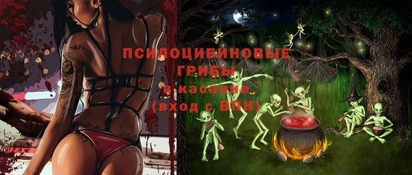 spice Абинск